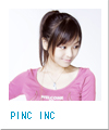 PINC INC